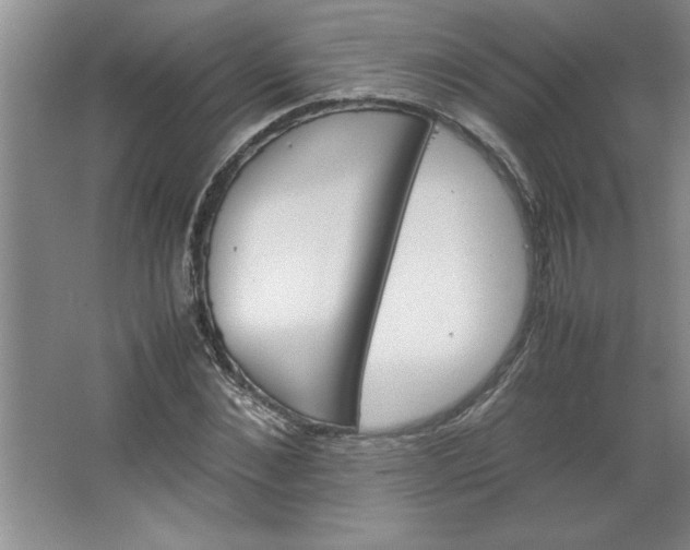 X0000064060876200602101527