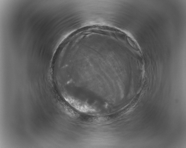 X0000064060879200602101527