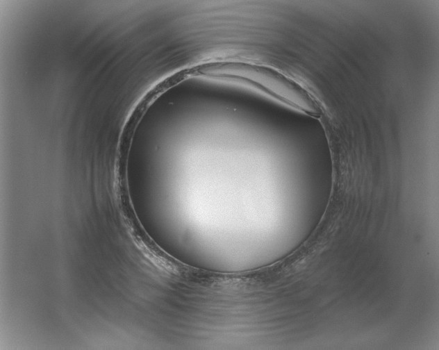 X0000064060880200602101527