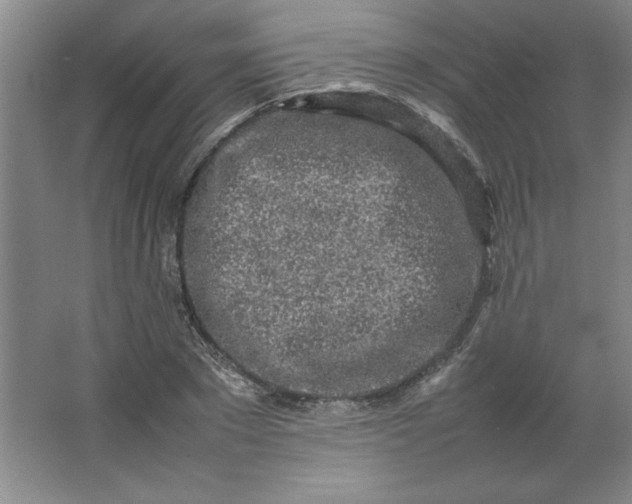 X0000064060881200602101527