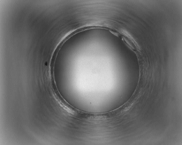 X0000064060884200602101527