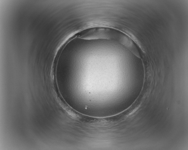 X0000064060885200602101527