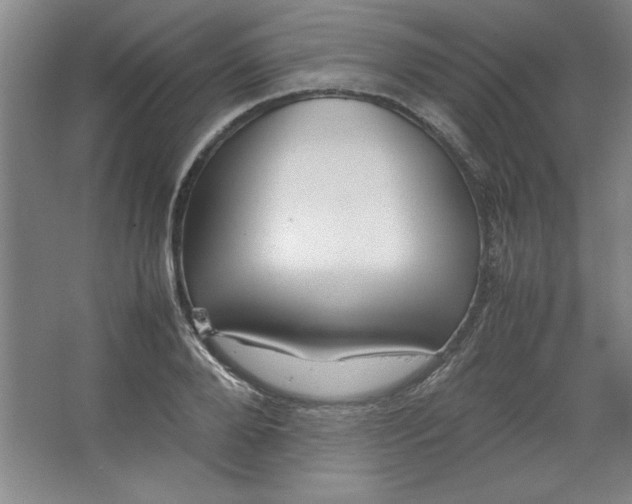 X0000064060888200602101527