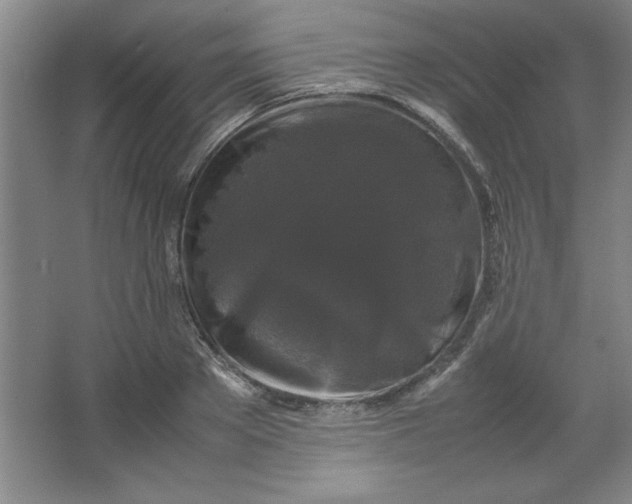 X0000064060889200602101527