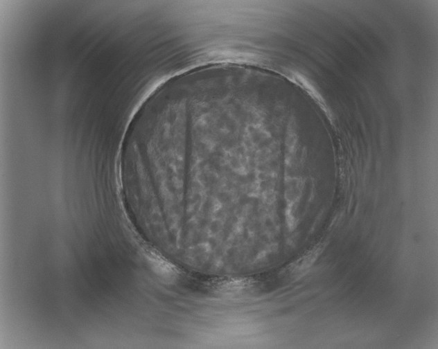 X0000064060891200602101527