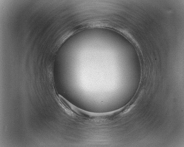 X0000064060897200602101527