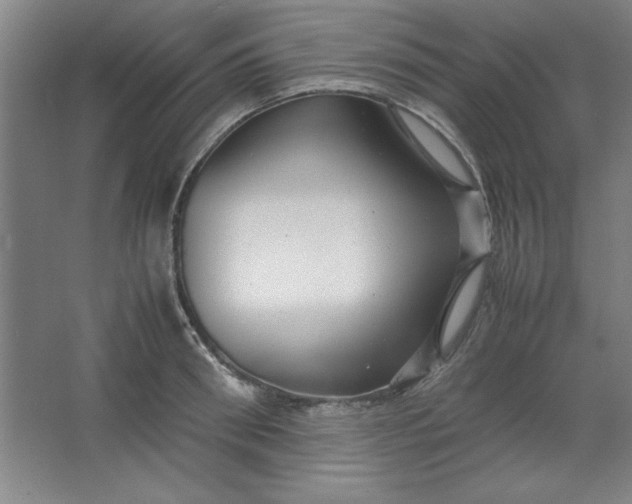 X0000064060898200602101527