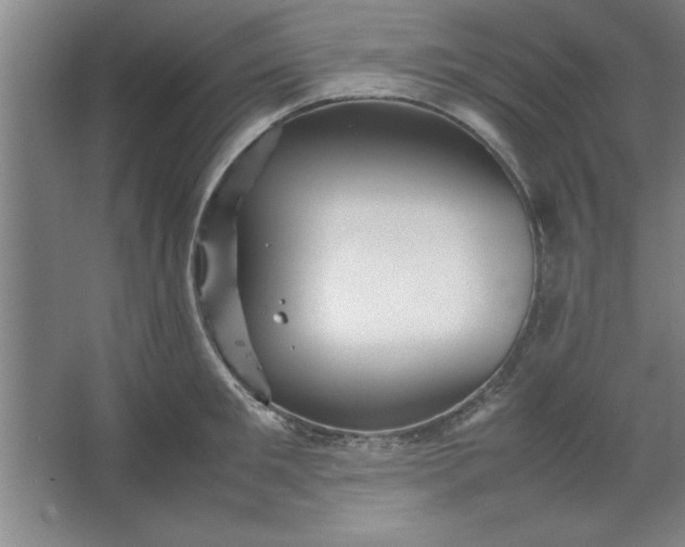 X0000064060901200602101527
