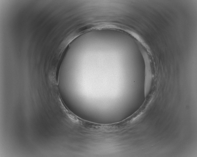 X0000064060905200602101527