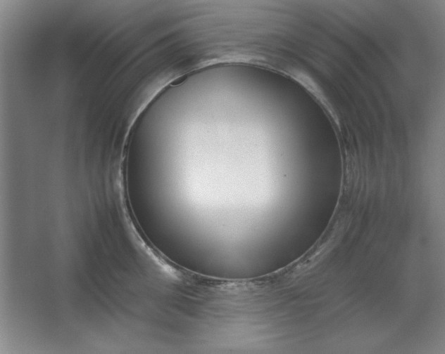 X0000064060906200602101527