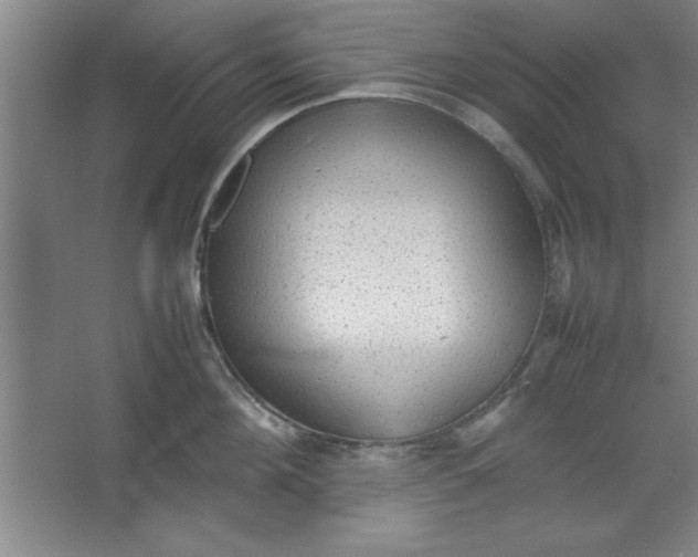 X0000064060908200602101527