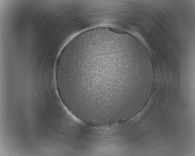 X0000064060910200602101527