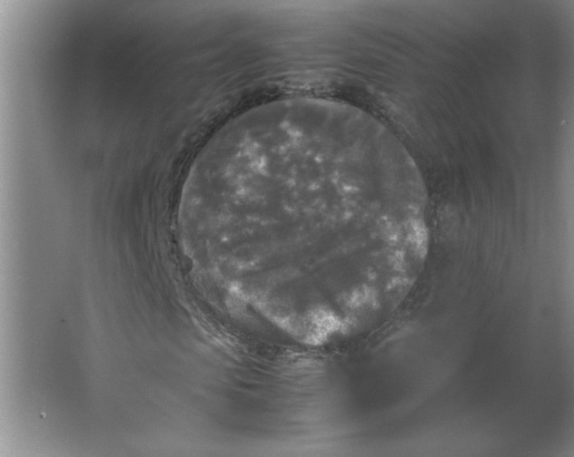 X0000064060913200602101526
