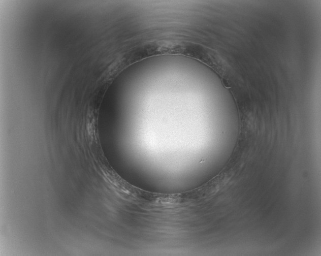 X0000064060914200602101526
