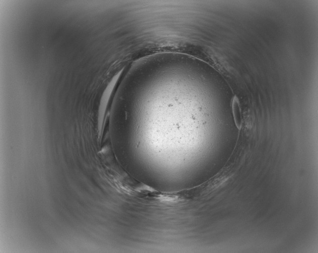 X0000064060916200602101526