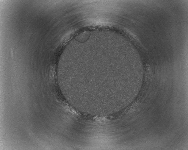 X0000064060918200602101526