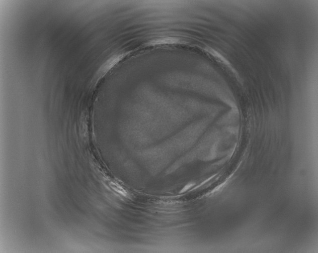 X0000064060921200602101526