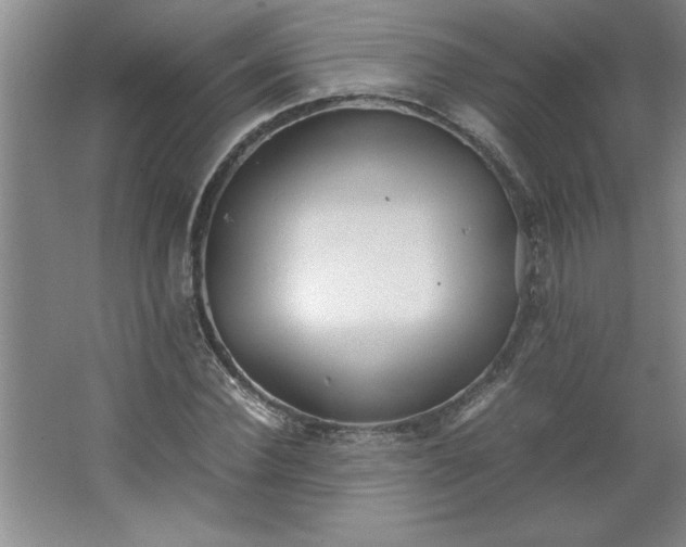 X0000064060924200602101526