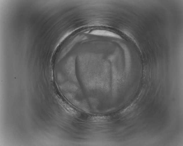X0000064060925200602101526