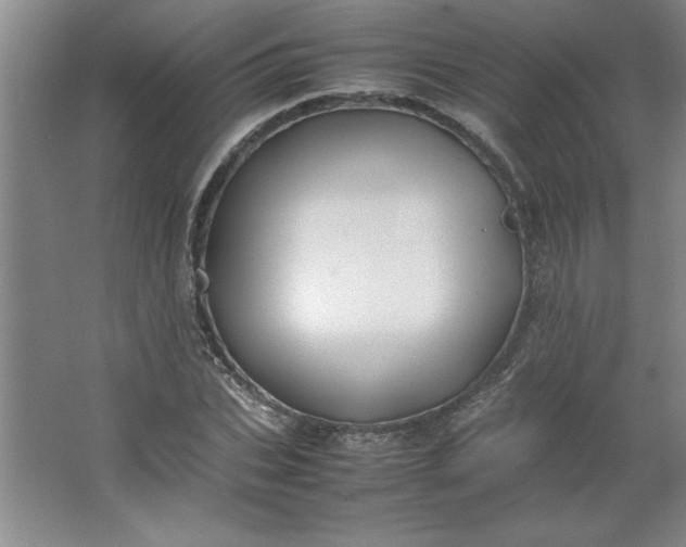 X0000064060927200602101526