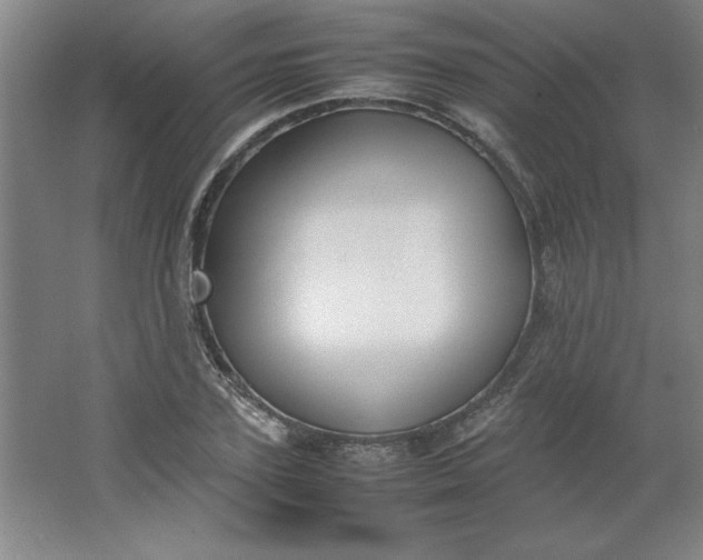 X0000064060931200602101526