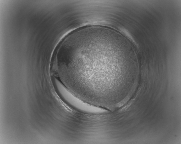 X0000064060932200602101526