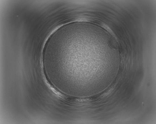 X0000064060939200602101526
