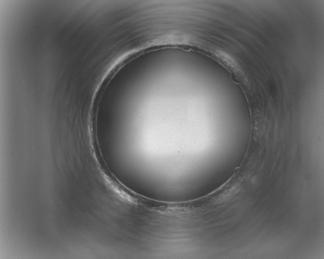 X0000064060942200602101526