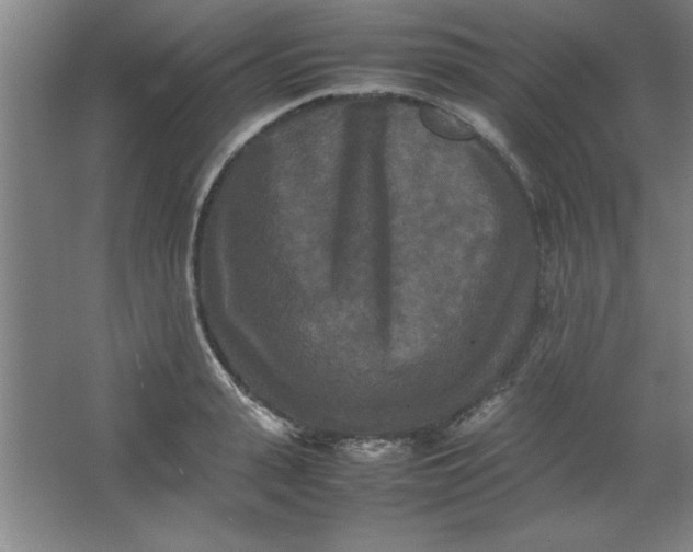 X0000064060943200602101527