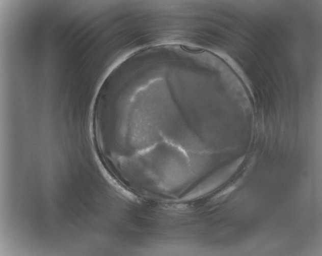 X0000064060957200602101527