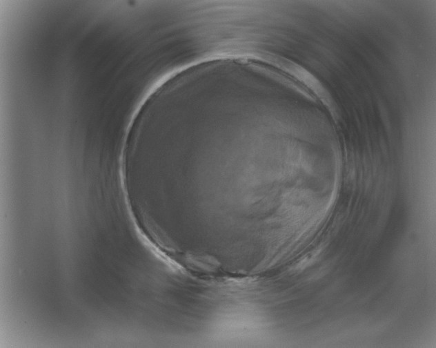 X0000064060958200602101527