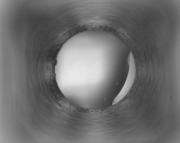 X0000064060964200602101526