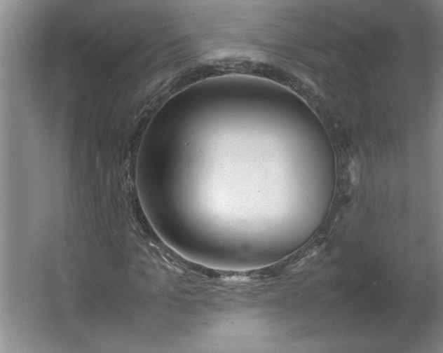 X0000064060965200602101526