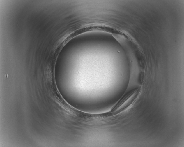 X0000064060969200602101526