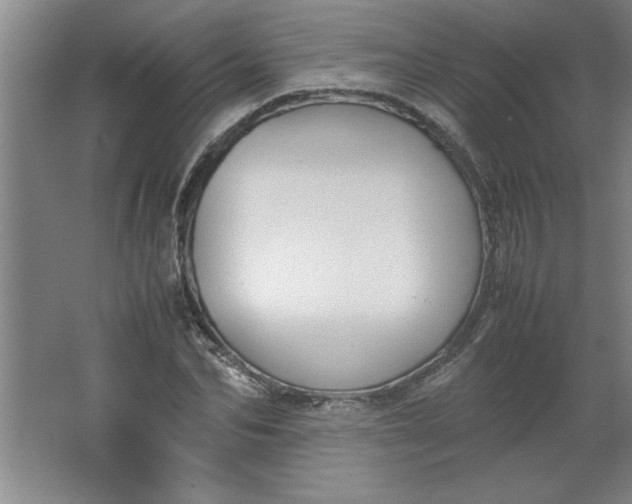 X0000064060974200602101526