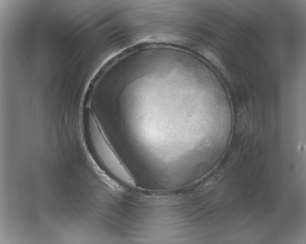 X0000064060976200602101526