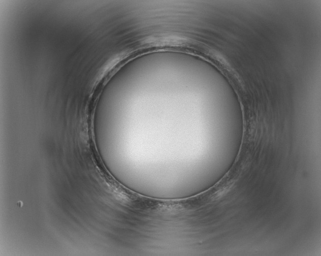X0000064060978200602101526