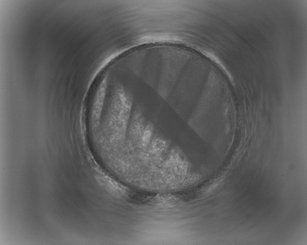 X0000064060983200602101526