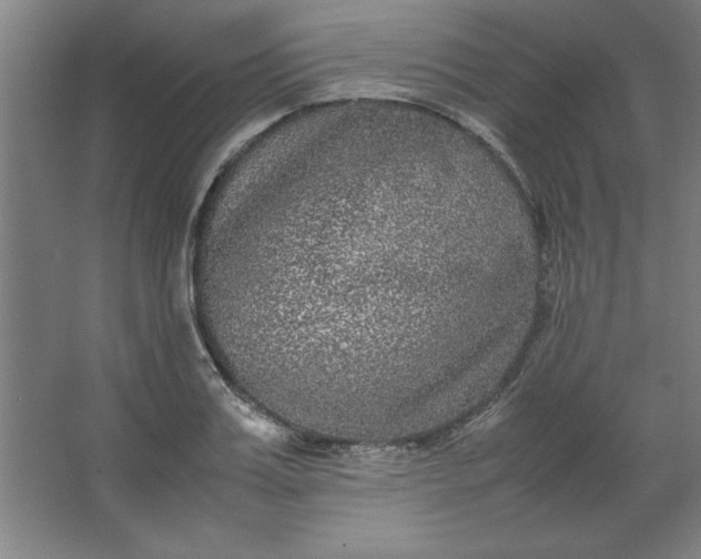 X0000064060987200602101526