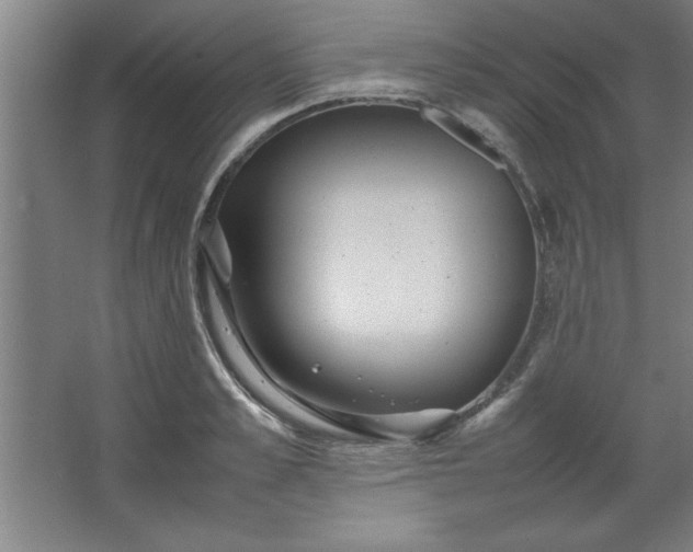 X0000064060989200602101526