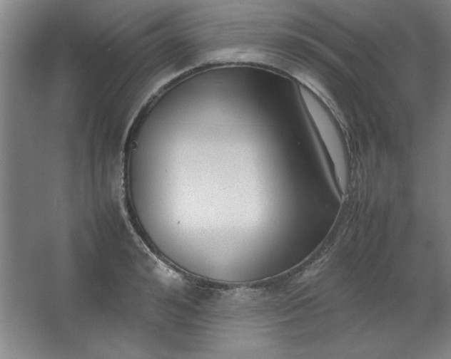 X0000064060992200602101525