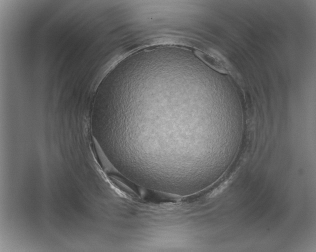 X0000064060993200602101525