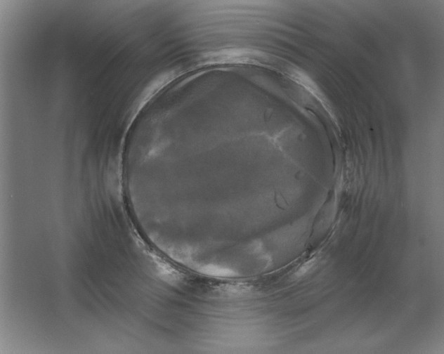 X0000064060994200602101525