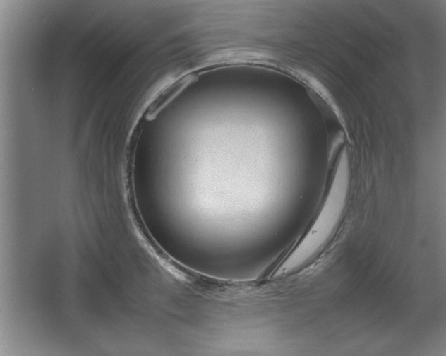 X0000064060997200602101525