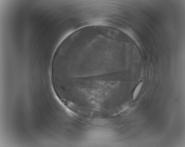 X0000064061007200602101525