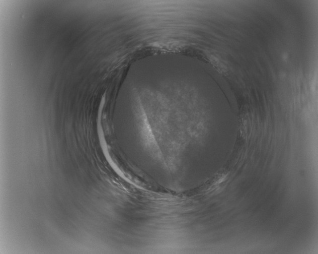 X0000064061010200602101524