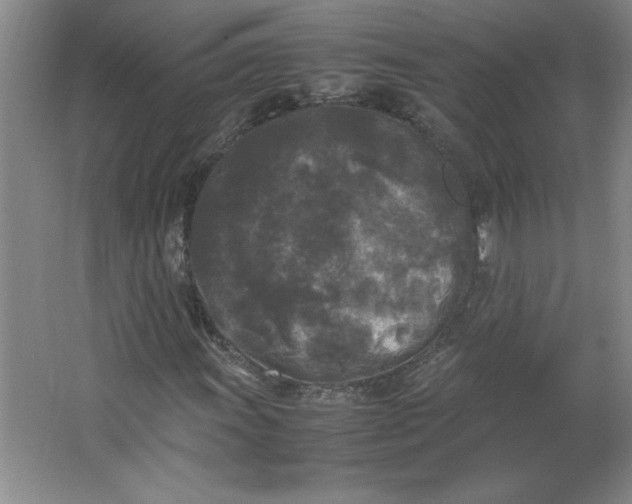 X0000064061011200602101524