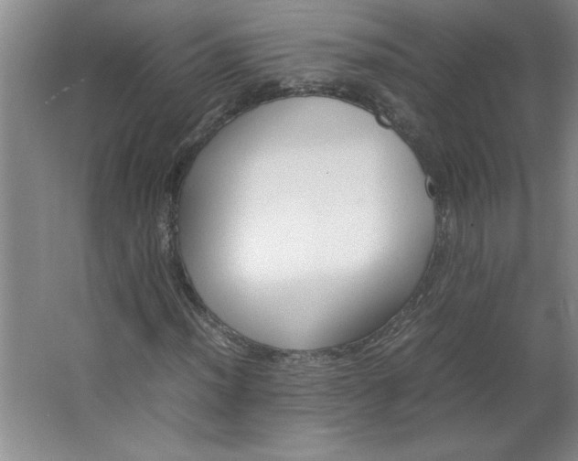 X0000064061012200602101524