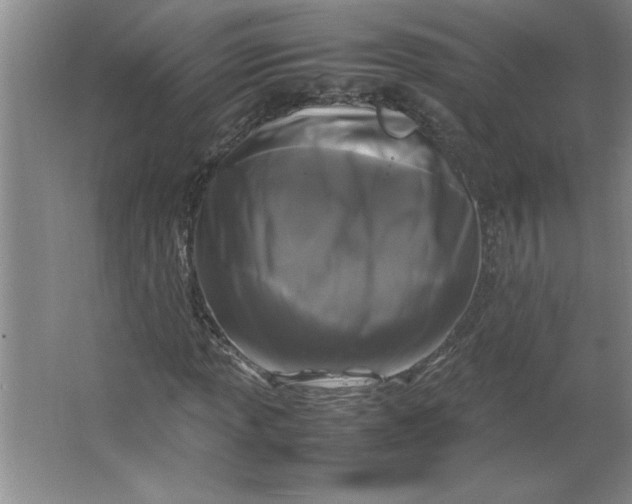 X0000064061013200602101524