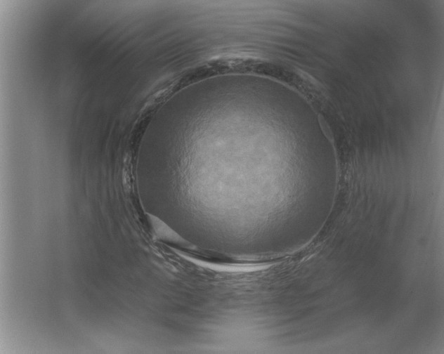 X0000064061014200602101524
